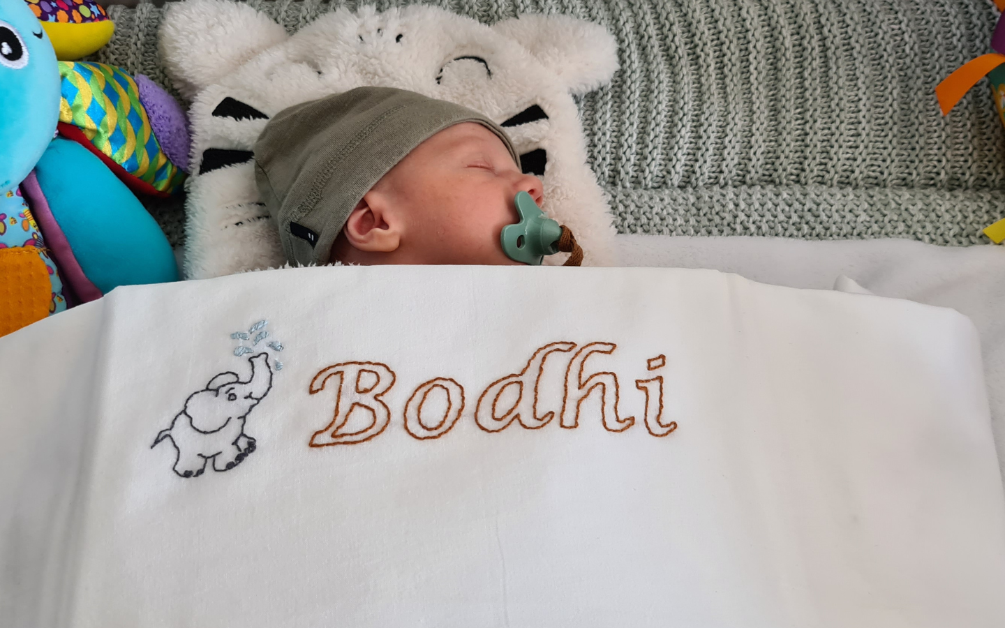 Baby Bodhi  Uitgelicht